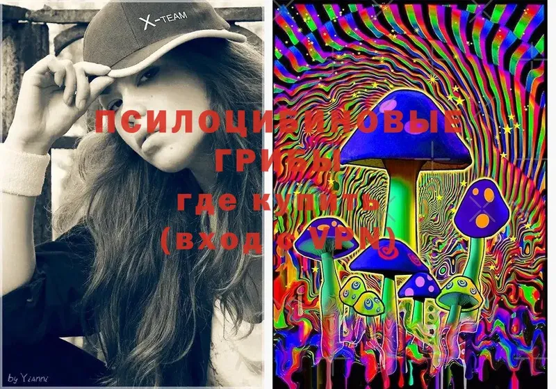 omg маркетплейс  Заречный  Галлюциногенные грибы Cubensis  купить  цена 