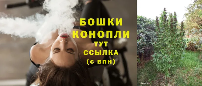 купить наркоту  Заречный  Канабис Ganja 